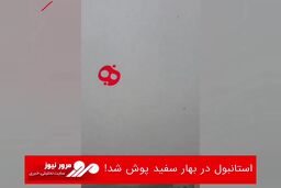 استانبول در بهار سفید پوش شد!