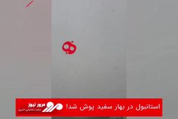 استانبول در بهار سفید پوش شد!
