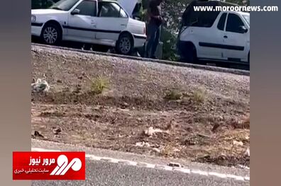 تصاویر ترسناک از سارقان مسلح جاده‌ای در اهواز + فیلم