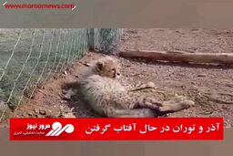 آذر و توران در حال آفتاب گرفتن