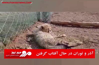آذر و توران در حال آفتاب گرفتن