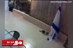 پاره کردن پرچم اسرائیل توسط گربه بازیگوش + فیلم