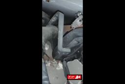 درخواست کمک یک زلزله‌زده از زیر آوار