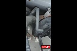 درخواست کمک یک زلزله‌زده از زیر آوار