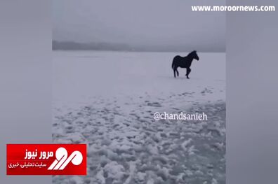 گرفتار شدن اسب‌ها در میان دریاچه‌ای از یخ در روسیه! + فیلم