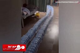 ابتکار جالب یک زن برای فراری دادن یک موش از خانه‌اش + فیلم