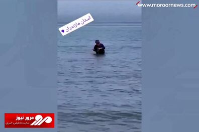 اولین ویدیوی کامران نجف‌زاده بعد از خداحافظی ناگهانی + فیلم