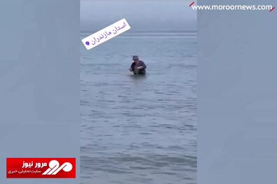 اولین ویدیوی کامران نجف‌زاده بعد از خداحافظی ناگهانی + فیلم