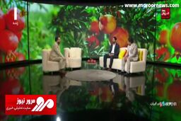 ادعای کارشناس صداوسیما در مورد پیش‌خرید انارهای ایران توسط ژاپن + فیلم